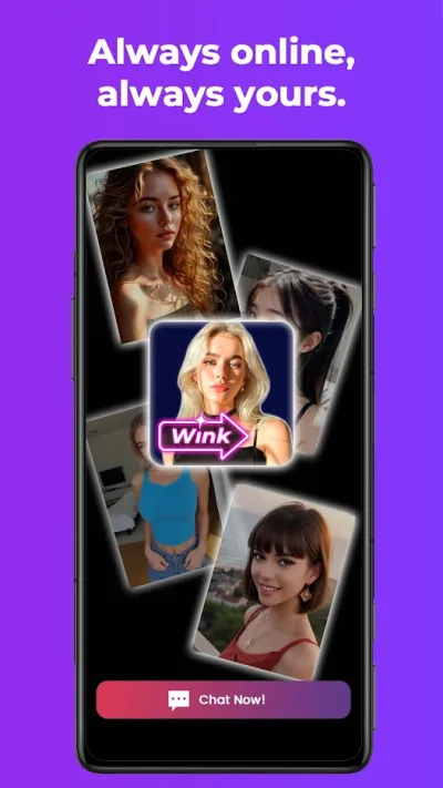 Wink video filters screenshot